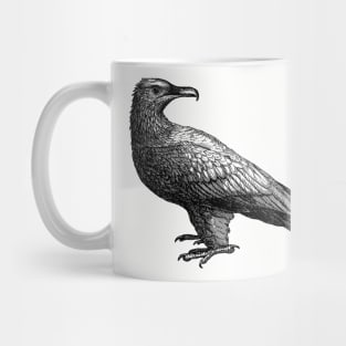 Vintage Bird Illustration Art Mug